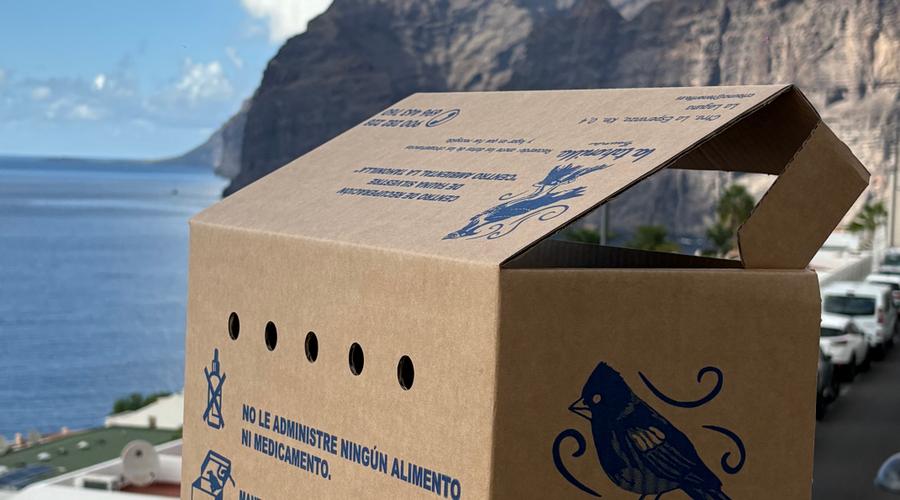 Royal Sun Resort Acantilado de los Gigantes Royal Sun Resort Acantilado de los Gigantes